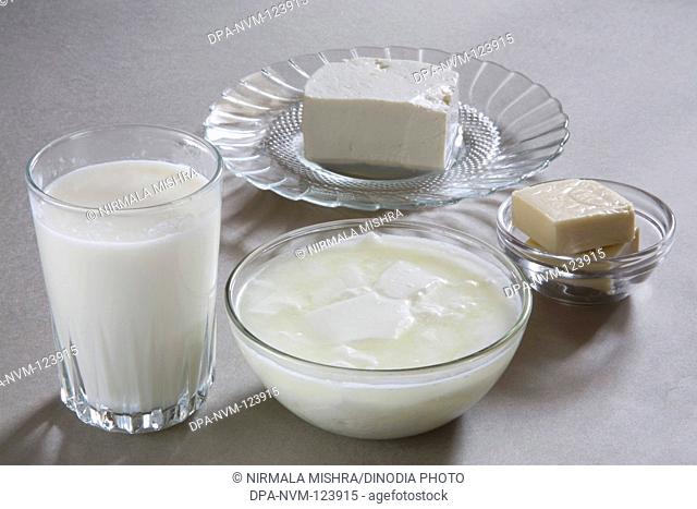 Milk curd yogurt dahi cottage cheese paneer and cheese made from milk or dairy product , India