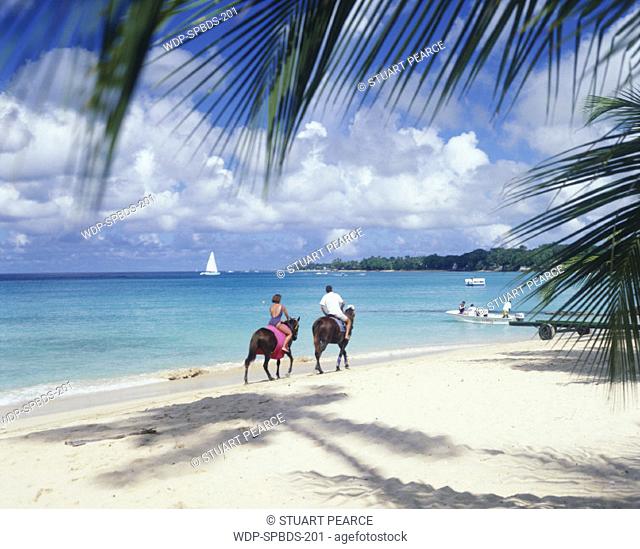 Alleyne's beach, Barbados, Caribbean