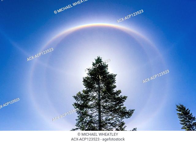22° halo of light 22 degrees from the sun formed by ice crystals with additional circumscribed haloes, Comox Valley, British Columbia, Canada