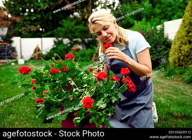 Happy woman in apron smelling flowers in the garden. Female gardener takes care of plants outdoor, gardening hobby, florist lifestyle and leisure