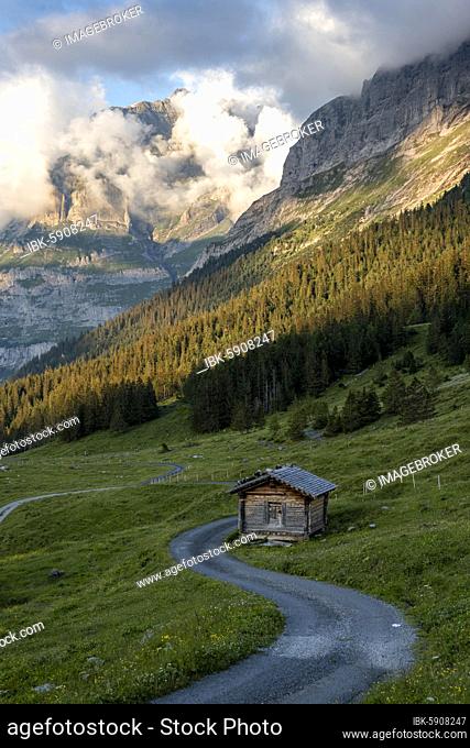 Evening mood, path leads to mountain hut, alpine pasture, Pfingstegg, behind the summit of the Wetterhorn, Jungfrau region, Grindelwald, Bern, Switzerland