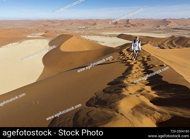 Big Daddy Dune at Deadvlei, Namib Naukluft Park, Namibia