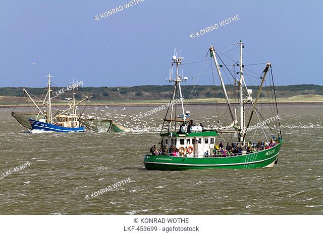 Fishing boats off Langeoog Island, North Sea, East Frisian Islands, East Frisia, Lower Saxony, Germany, Europe