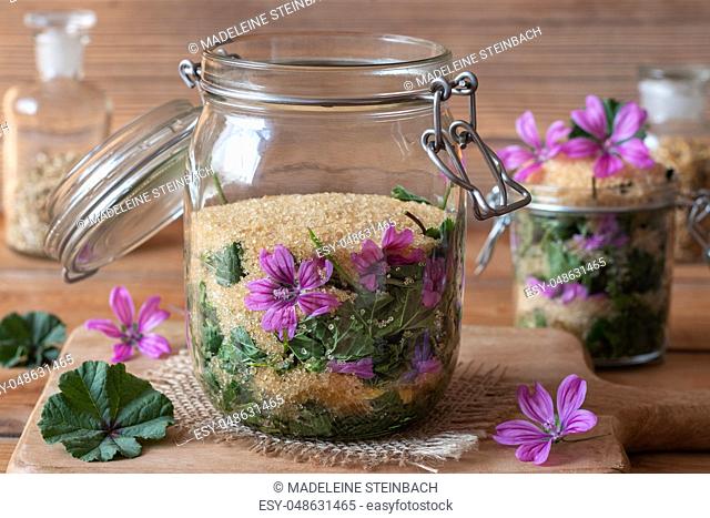 A jar filled with wild common mallow flowers and leaves and cane sugar, to prepare herbal syrup against cough