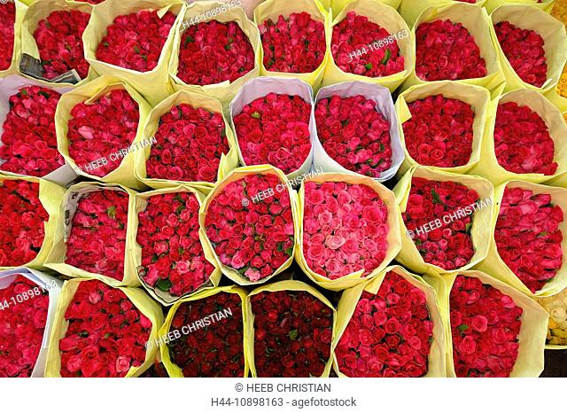 Exotic, Blooms, Flowers, Pak Khlong Market, Bangkok, Thailand, Asia, red
