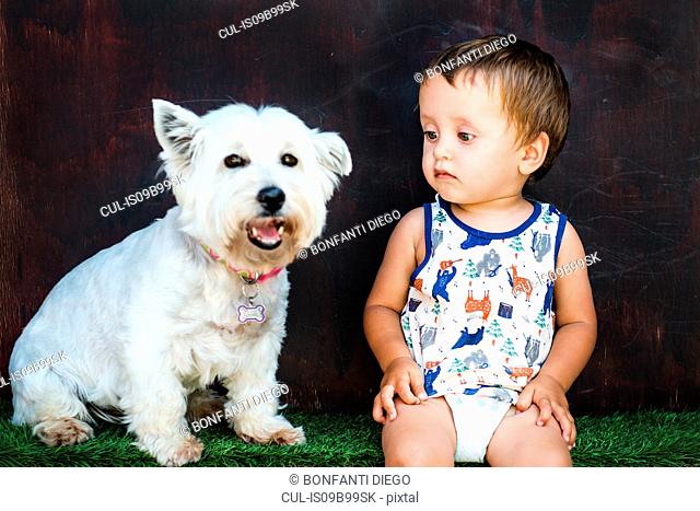 Portrait of cute white dog and staring male toddler sitting in garden