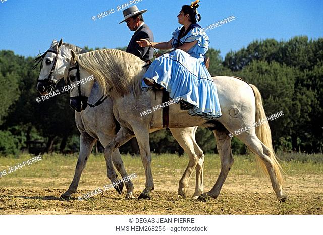 Spain, Andalusia, Huelva Perovince, El Rocio pilgrimage Pentecost, most important pilgrimage in Spain, the arrival of the horses-drawns of the Hermandad...