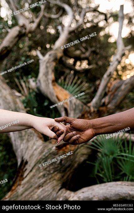 Close-up of man holding hands of woman at forest