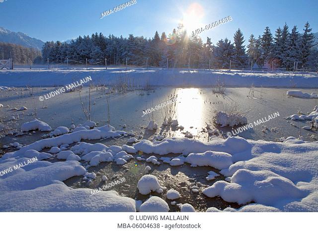 Austria, Tyrol, winter scenery in the Mieminger plateau