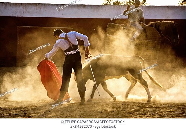 The Spanish bullfighter David Valiente Bullfight at tentadero, Jaen, Spain, 9 september 2009