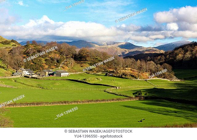 View from Horse Crag towards Loughrigg Fell, High Yewdale, Lake District National Park, Cumbria, Europe
