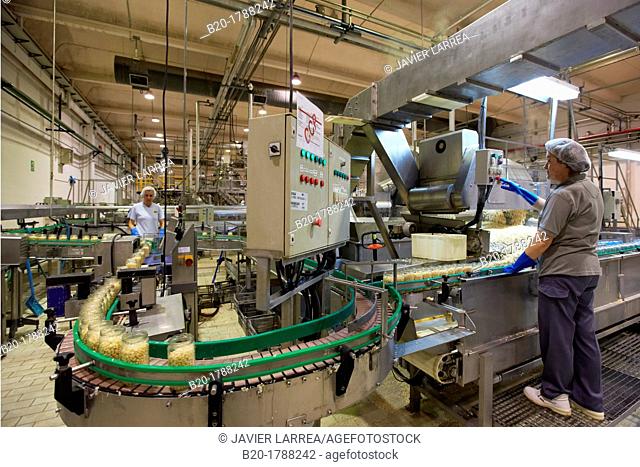 Bean bottling, Production line of canned vegetables and beans, Canning Industry, Agri-food, Logistics Center, Gutarra-Riberebro Group, Villafranca, Navarre