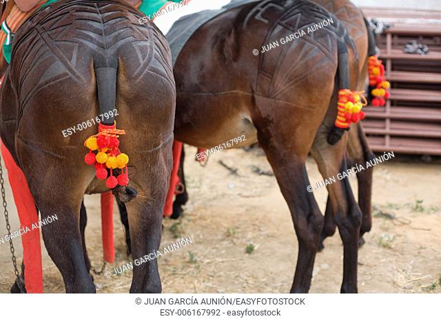 Decoration for drag mules, used for carry bull died in the bullfight to the slaughterhouse