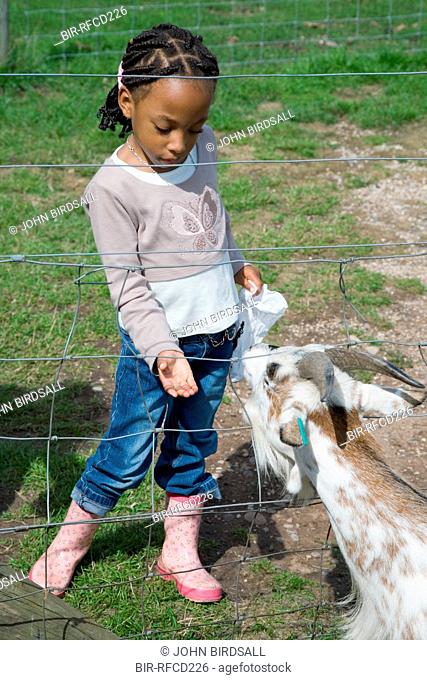 Young girl feeding at a goat on a visit to a city farm