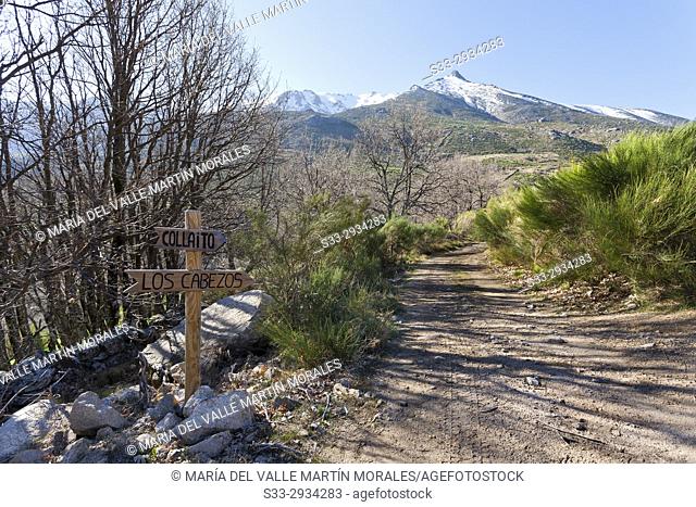 The Cabezos road in the Sierra de Gredos. Avila. Spain