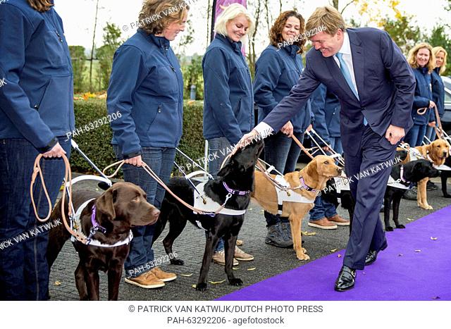 Dutch King Willem-Alexander pets dogs as he attends the opening of the first guide dog experience at the kennels of the Royal Dutch Guide Dog Foundation in...