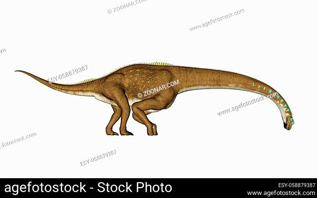 Giraffatitan dinosaur drinking isolated in white background - 3D render