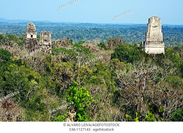Tikal ruins. El Petén.  Guatemala