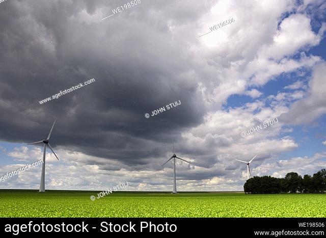 Windmills in a field under heavy clouds close to the Dutch village Urk
