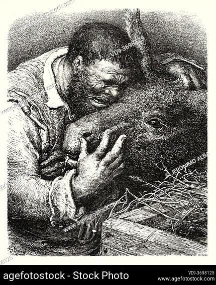 Sancho panza cries to his donkey. Don Quixote by Miguel de Cervantes Saavedra. Old XIX century engraving illustration by Gustave Dore