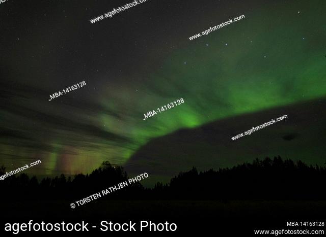northern lights with starry sky, nyluspen, västerbottens län, lapland, sweden