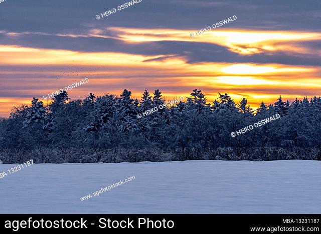 Winter landscape, sunrise, winter, winter world, Swabian Alb, Baden-Wuerttemberg, Germany, Europe
