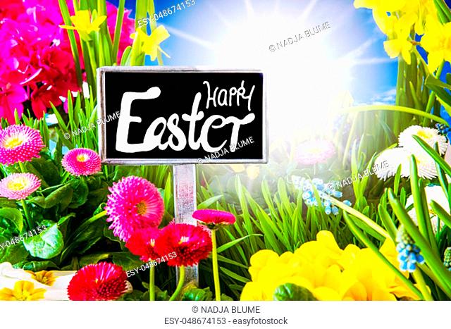 Sign With Egnlish Callligraphy Happy Easter. Sunny Spring Flower Meadow With Daisy, Narcissus, Primrose And Hyacinth