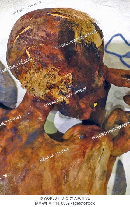 human mummy 'Ginger'; Body of naturally mummified adult male lying in flexed position. Skull - Tufts of ginger-coloured hair are present on the scalp