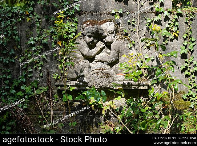 02 May 2022, Brandenburg, Stahnsdorf: A historic grave site surrounded by ivy in the Southwest Churchyard of the Berlin City Synod
