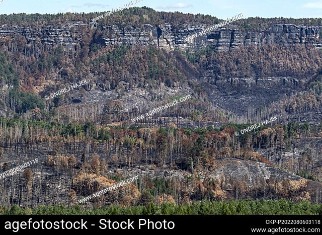 A large forest fire in the Ceske Svycarsko (Czech Switzerland) National Park, near Hrensko, Czech Republic, on August 6, 2022