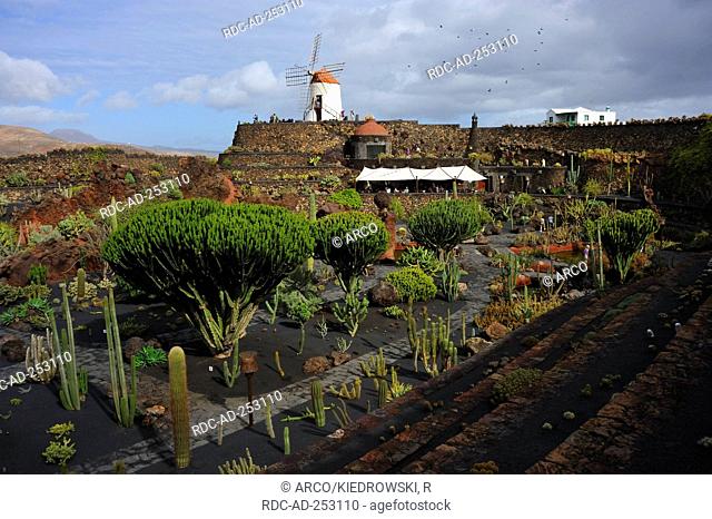 Cactus garden  'Jardin de Cactus' Fundacion Cesar Manrique Tahiche Fuerteventura Canary Islands Spain