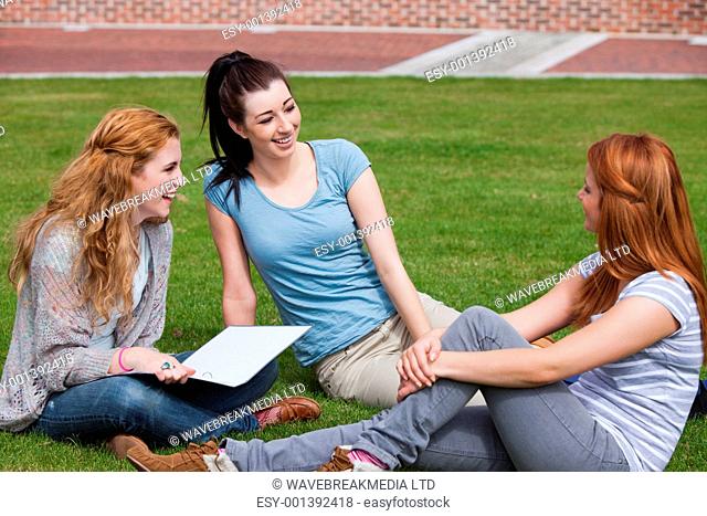 Happy students sitting together on the lawn