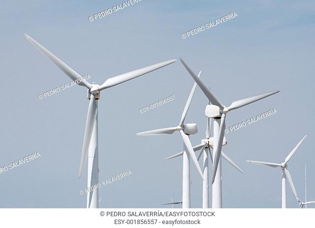 group of windmills for green power production in La Muela, Saragossa, Aragon, Spain
