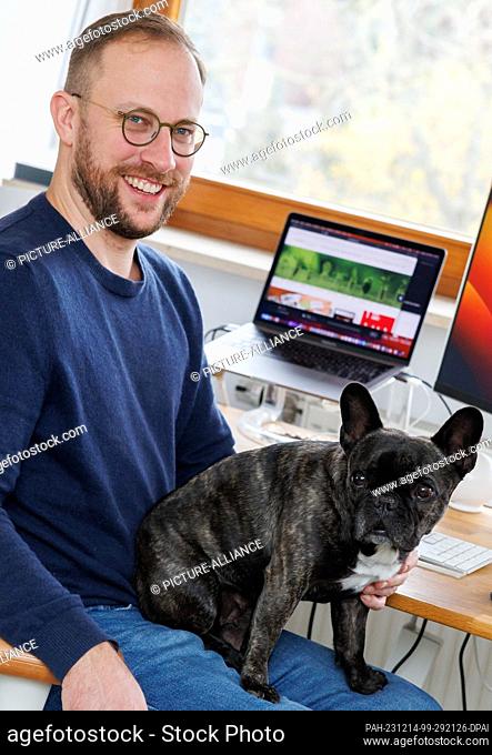 PRODUCTION - 23 November 2023, Bavaria, Nuremberg: The French bulldog Klärchen vom Münchhof sits in the office of the advertising agency media4nature on the lap...