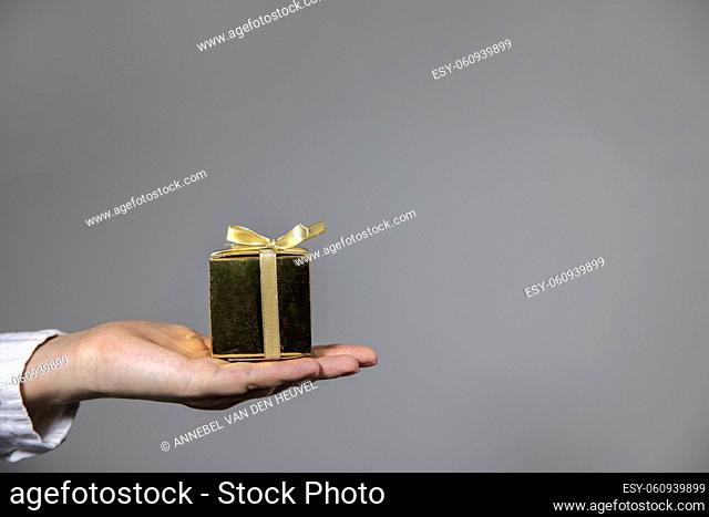 Hands holding gold gift box isolated on gray background. giving present, Birthday, Christmas, Mothersday other Holiday with copy space space for text