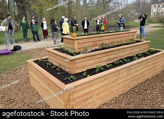 14 April 2022, Brandenburg, Cottbus: Visitors to an exhibition opening stand at a raised bed designed according to historical models in the former princely...
