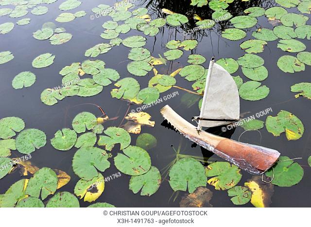 toy boat in a pond of the national conservatory and botanical garden of Mascarin Saint-Leu Reunion island, overseas departement of France, Indian Ocean