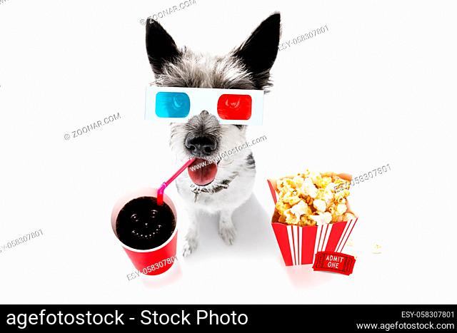 chihuahua poodle dog going to the movies with soda and glasses and popcorn and tickets, isolated on white background and 3d glases