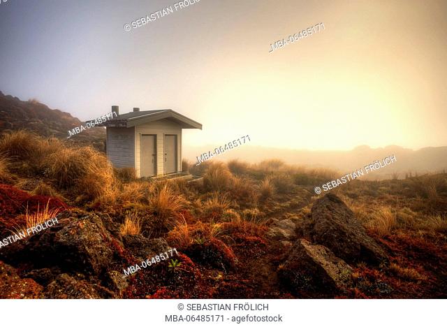 A toilet small house in foggy Nowhere