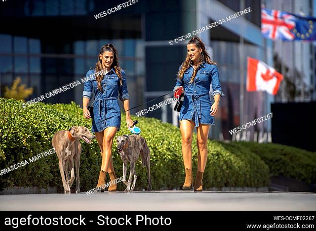 Sisters holding pet leash while walking with dog at city street