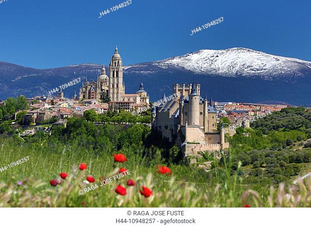 world heritage, Alcazar, Castilla, Castile, Guadarrama, Mountain Range, Segovia, poppies, architecture, castle, cathedral, city, colourful, flowers, history