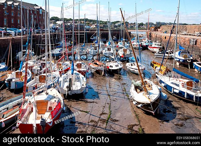 Crowded harbour in North Berwick