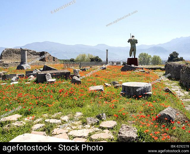 Ruins and statue in a poppy field, Pompeii, Campania, Italy, Europe
