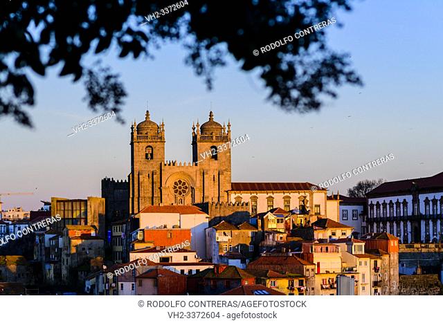 Porto cathedral and traditional houses, Porto