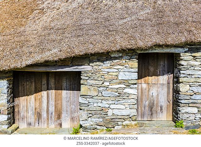 Palloza, traditional thatched roof house in O Cebreiro. Pedrafita do Cebreiro, Lugo, Galicia, Spain, Europe