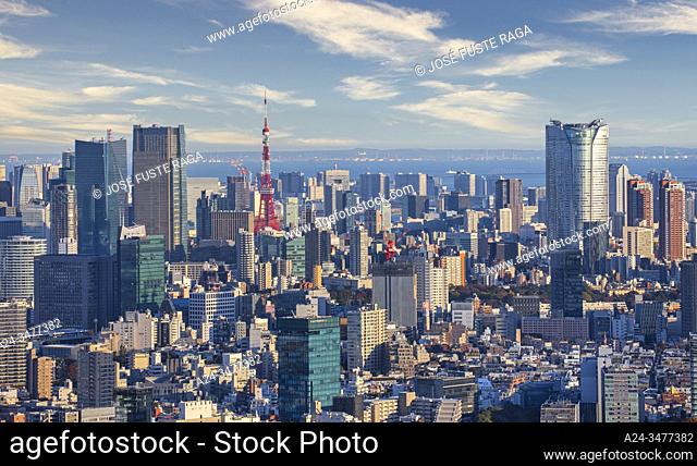 Japan , Tokyo City, Minato Ku skyline