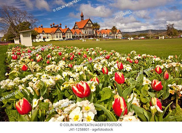 Spring tulips, Rotorua Museum, Government gardens, Rotorua