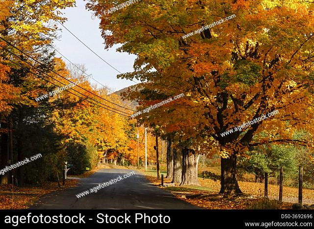Sharon Ct, USA Fall foliage and autumn colors