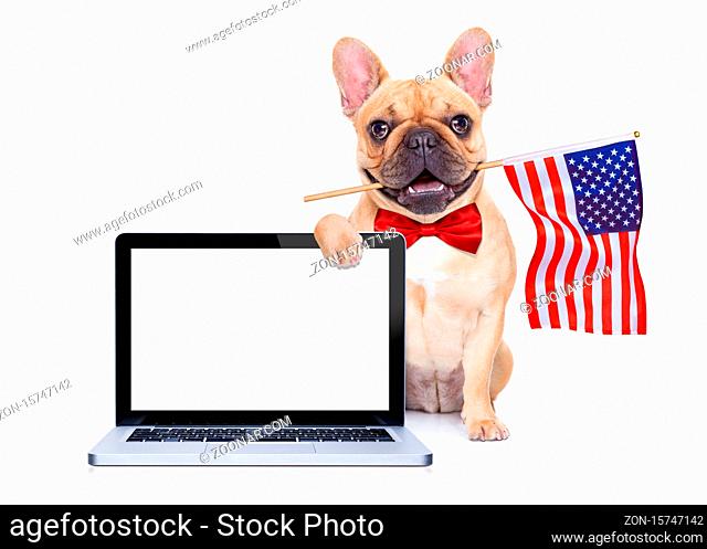 french bulldog dog waving a flag of usa on independence day on 4th of july , isolated on white background, behind a blank empty computer pc screen display