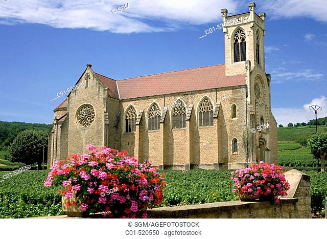 Flowers vineyard and church 'Fuissé' village. Mâconnais. Wine country. Burgundy. France